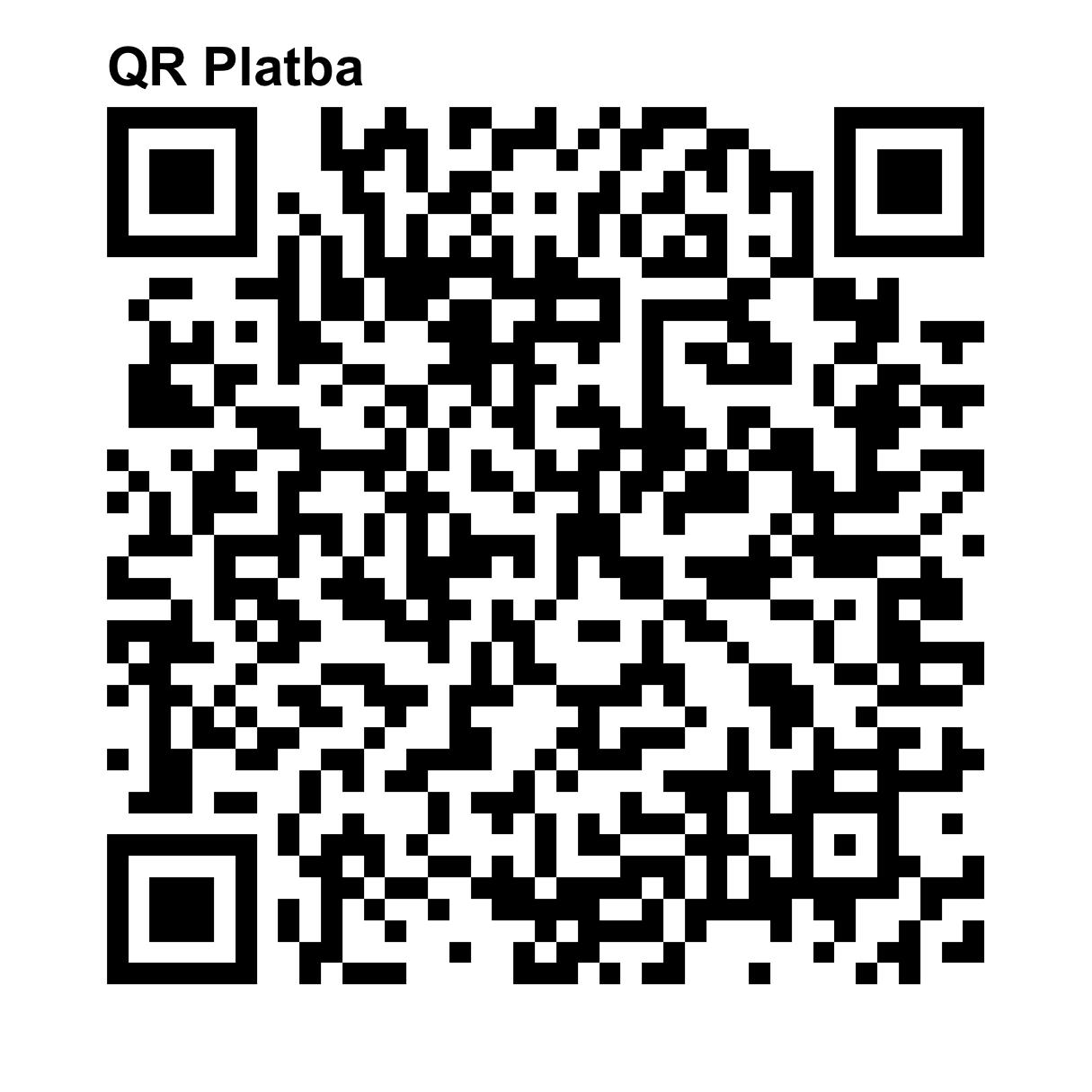 QR kód pro platbu na podporu Cher